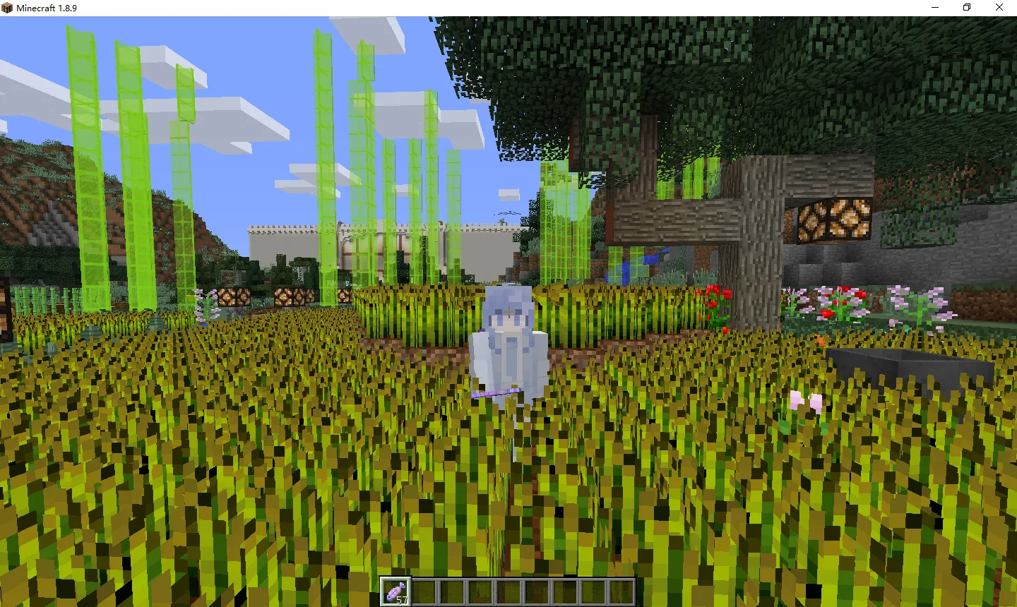 Minecraft1.8.9